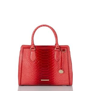 Brahmin small Finley flame calimero